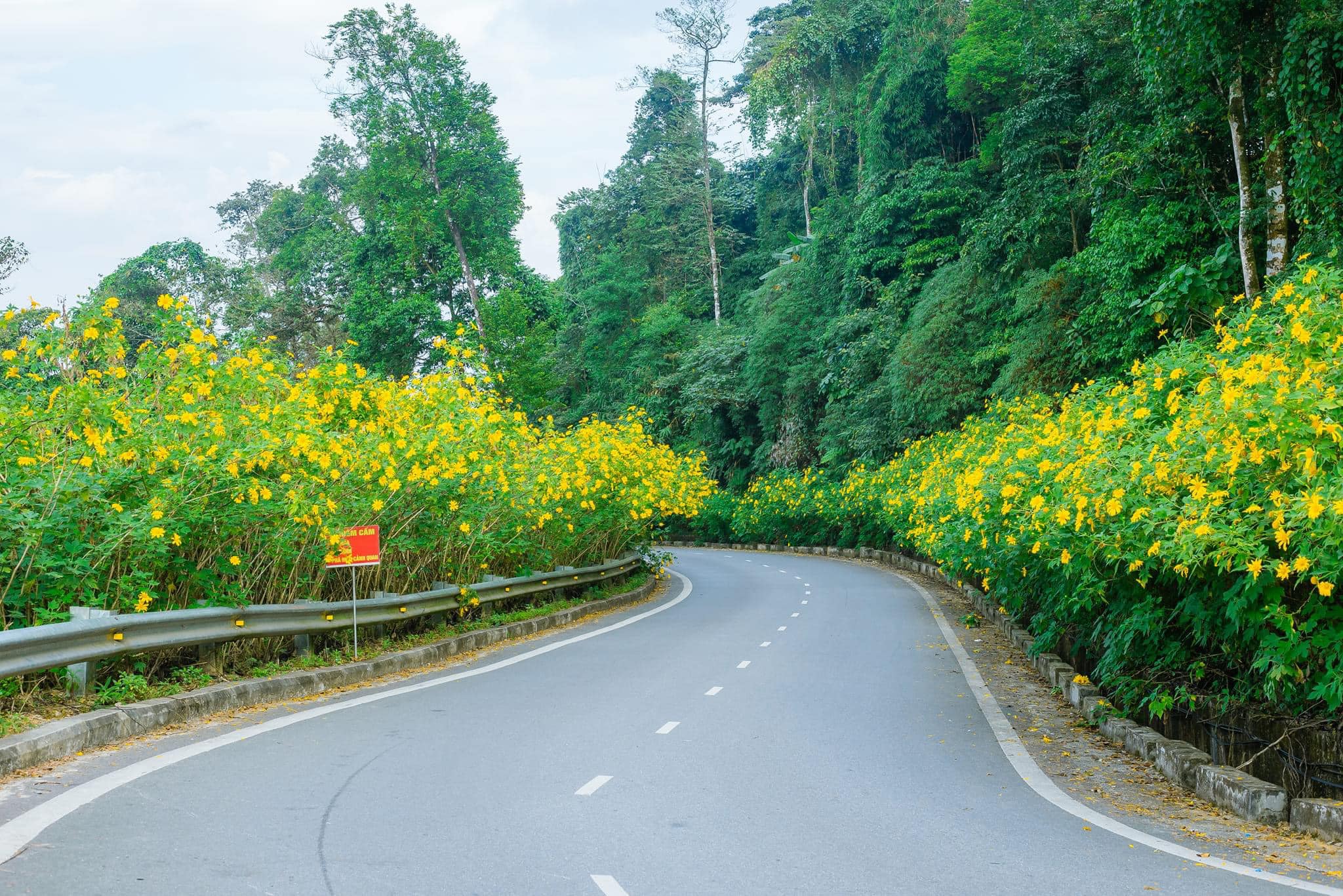 Seize the vibrant spirit of Hanoi Travel